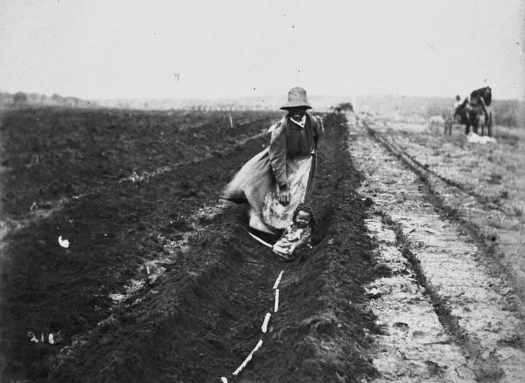 Thumbnail for From Louisiana to Queensland: how American slave-owners started again in Australia