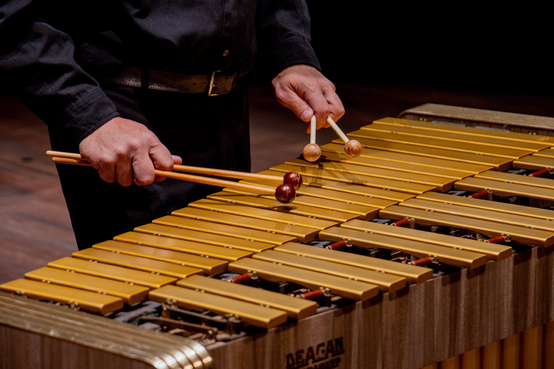 Vibraphone at the Hedberg a gift from bequest the Late Andrew Robert Youngphoto Peter Allen