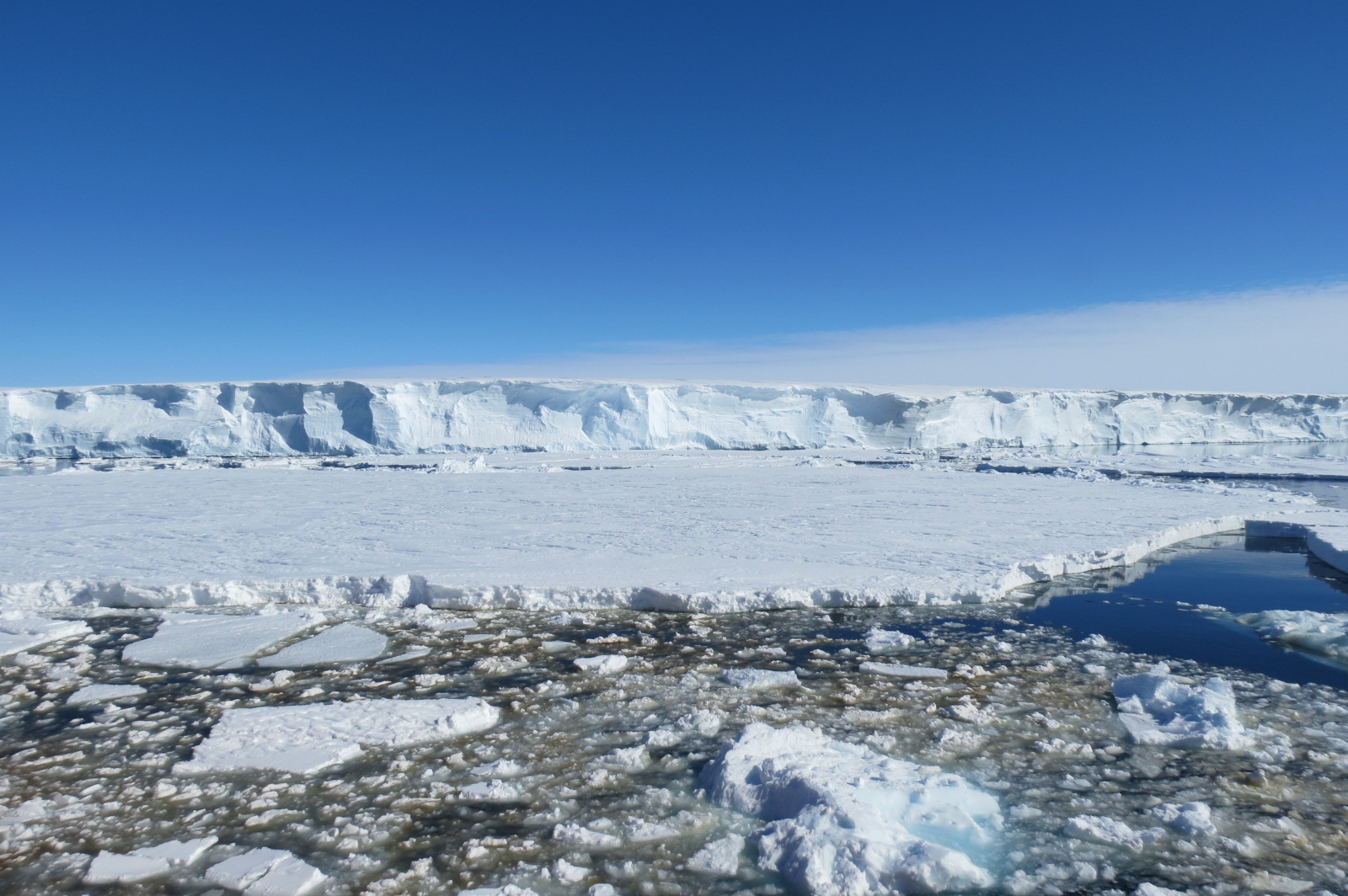 Thumbnail for Where do all the blooms go? Tracking Southern Ocean phytoplankton