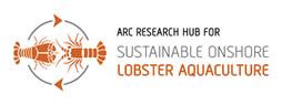 ARC Research Hub for Sustainable Onshore Lobster Aquaculture logo
