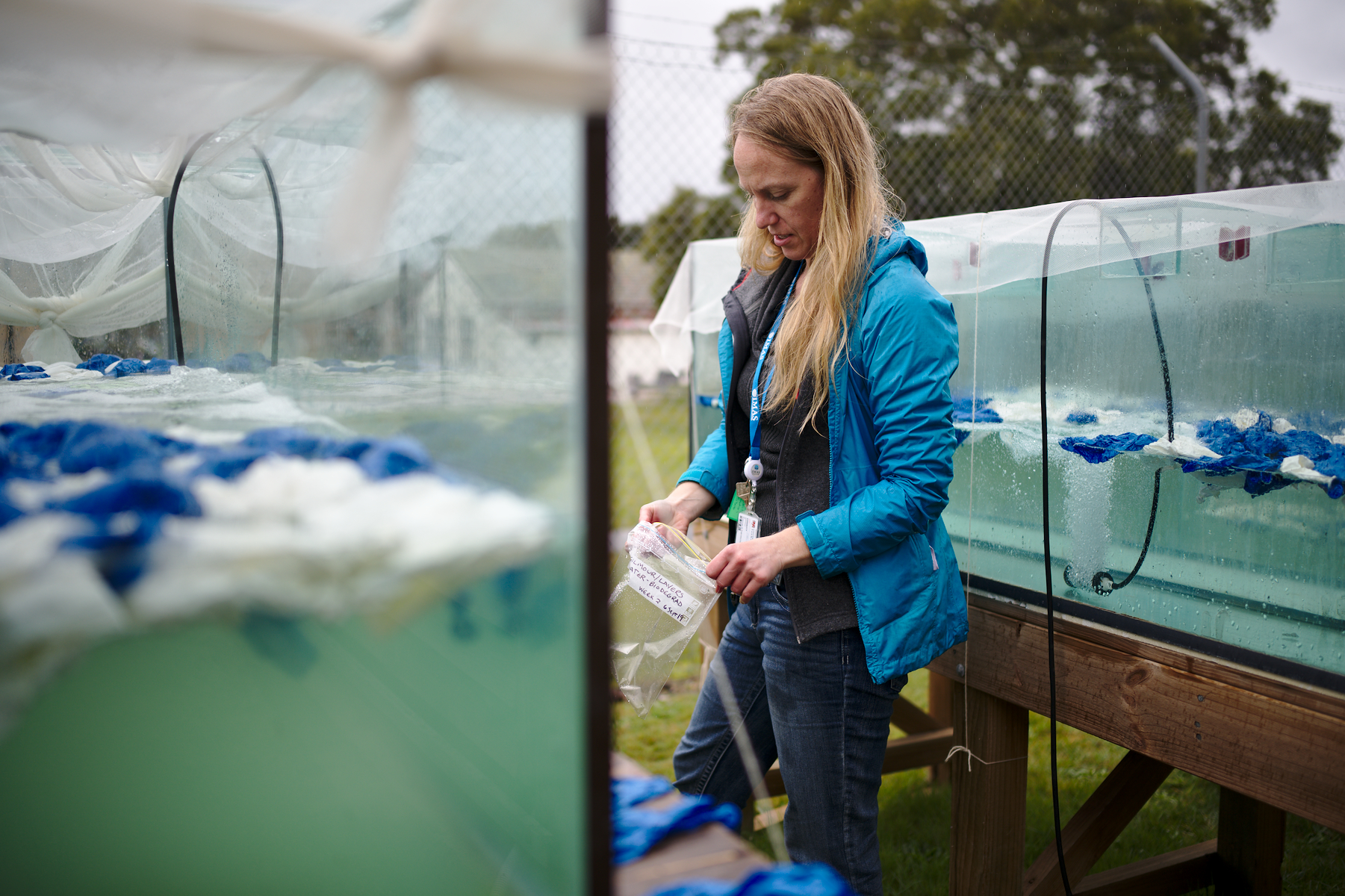 Thumbnail for New study finds latex balloons not biodegradable