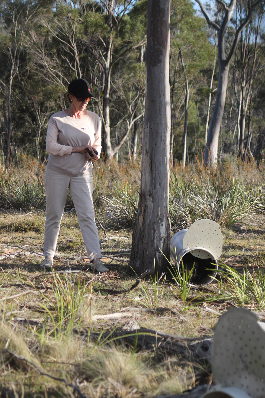 Maxeme Tall on Tasmanian devil research field trip