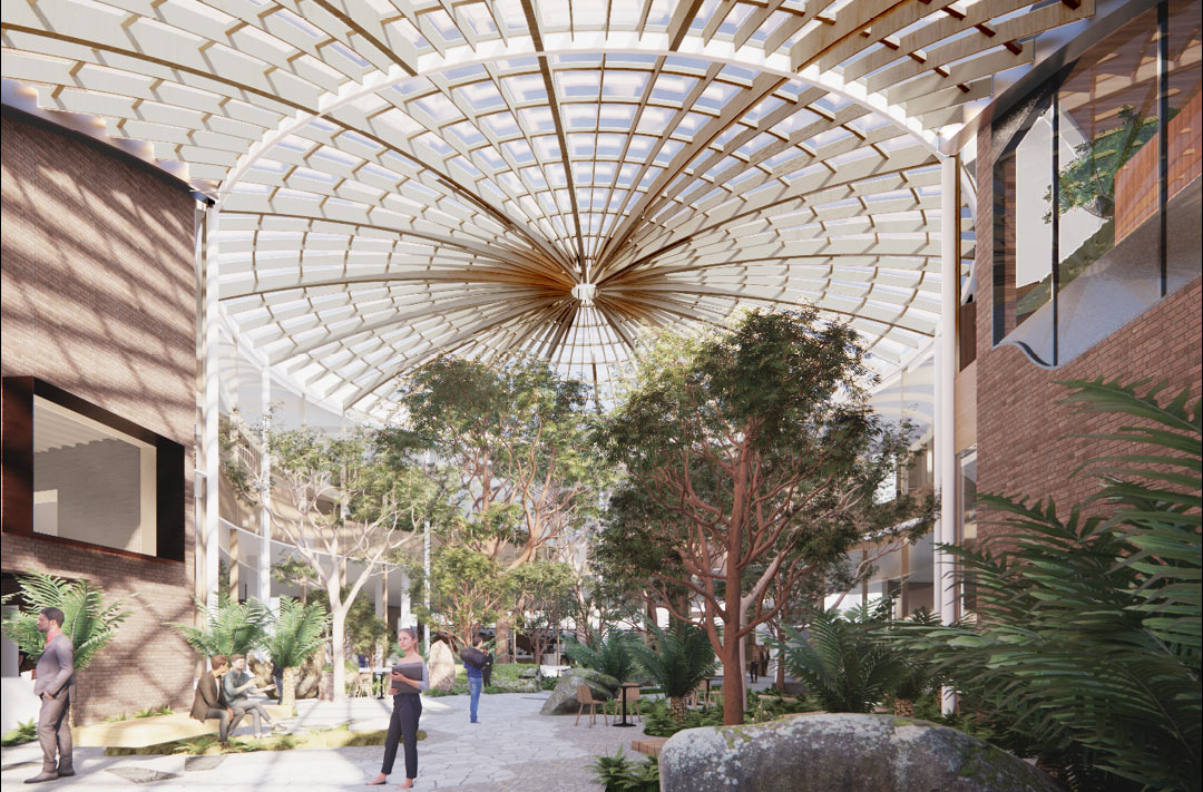 Artist's rendering of the Forestry Building atrium