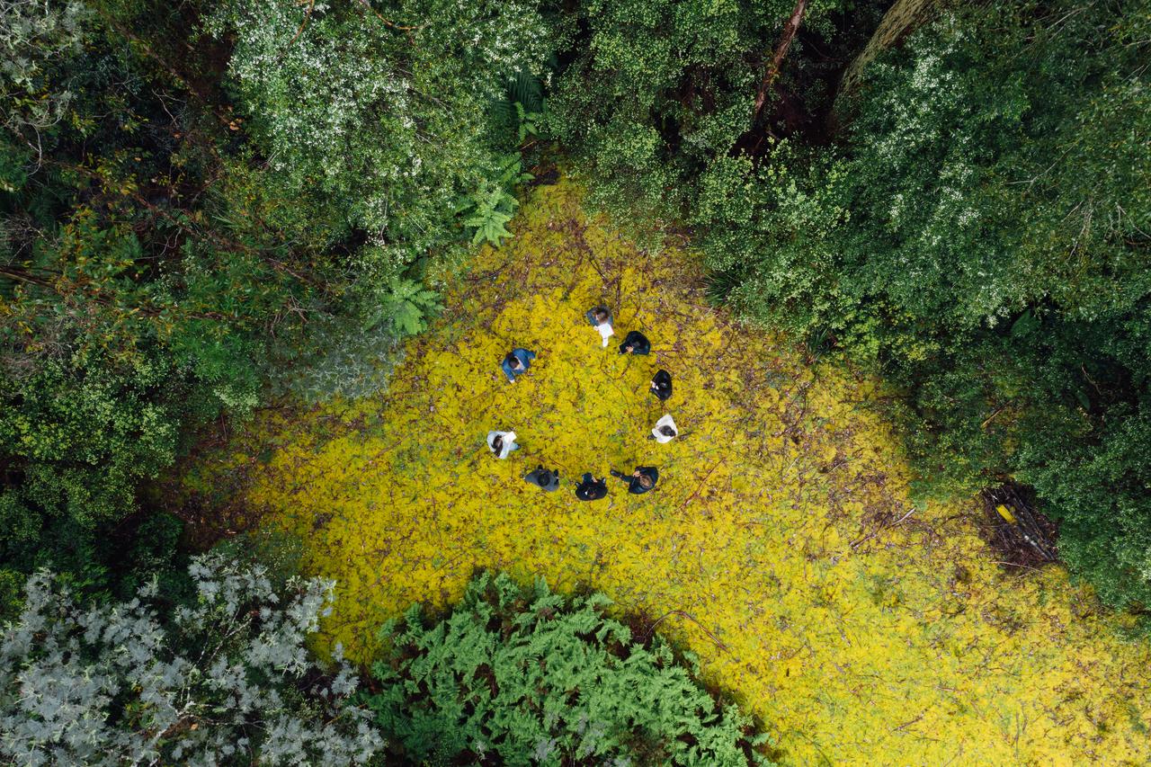 Derwent Valley Bushfire Assessment