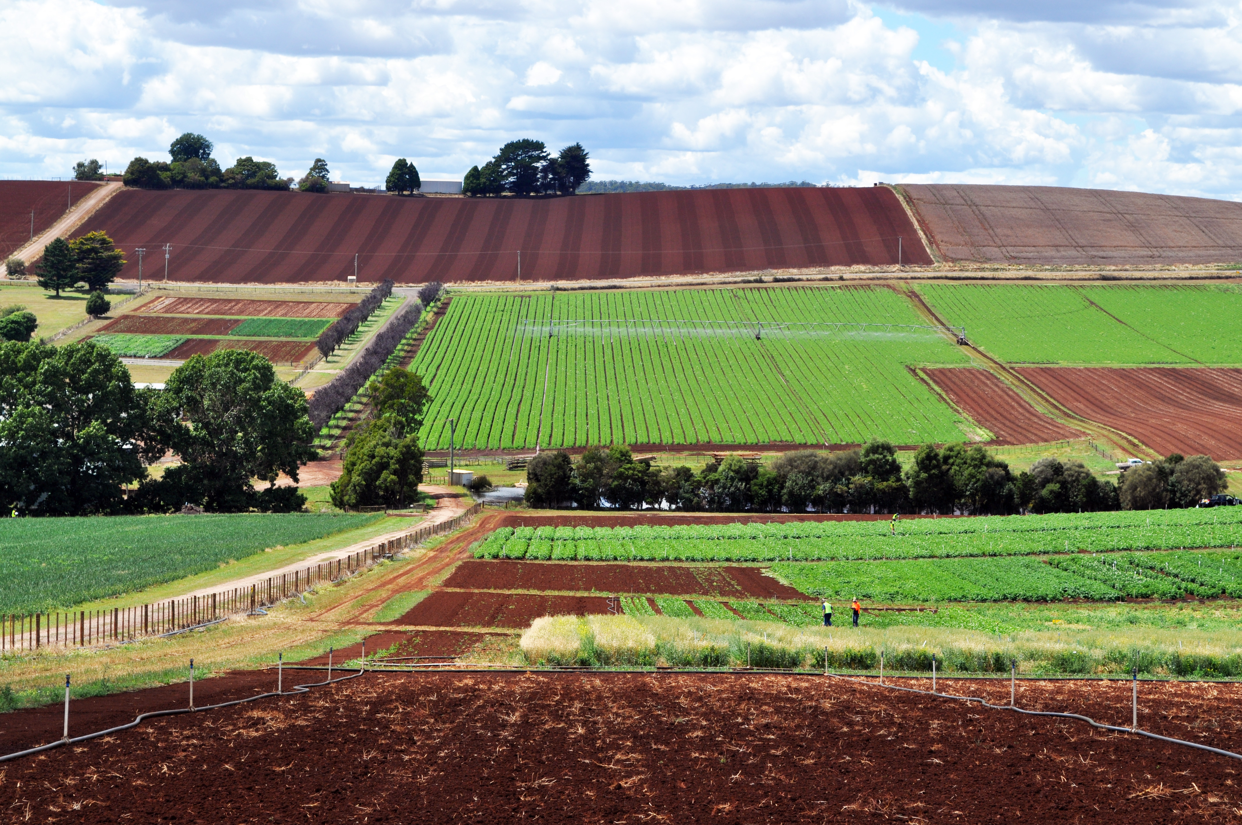 Thumbnail for Tasmania’s ag industry teams up in war on waste