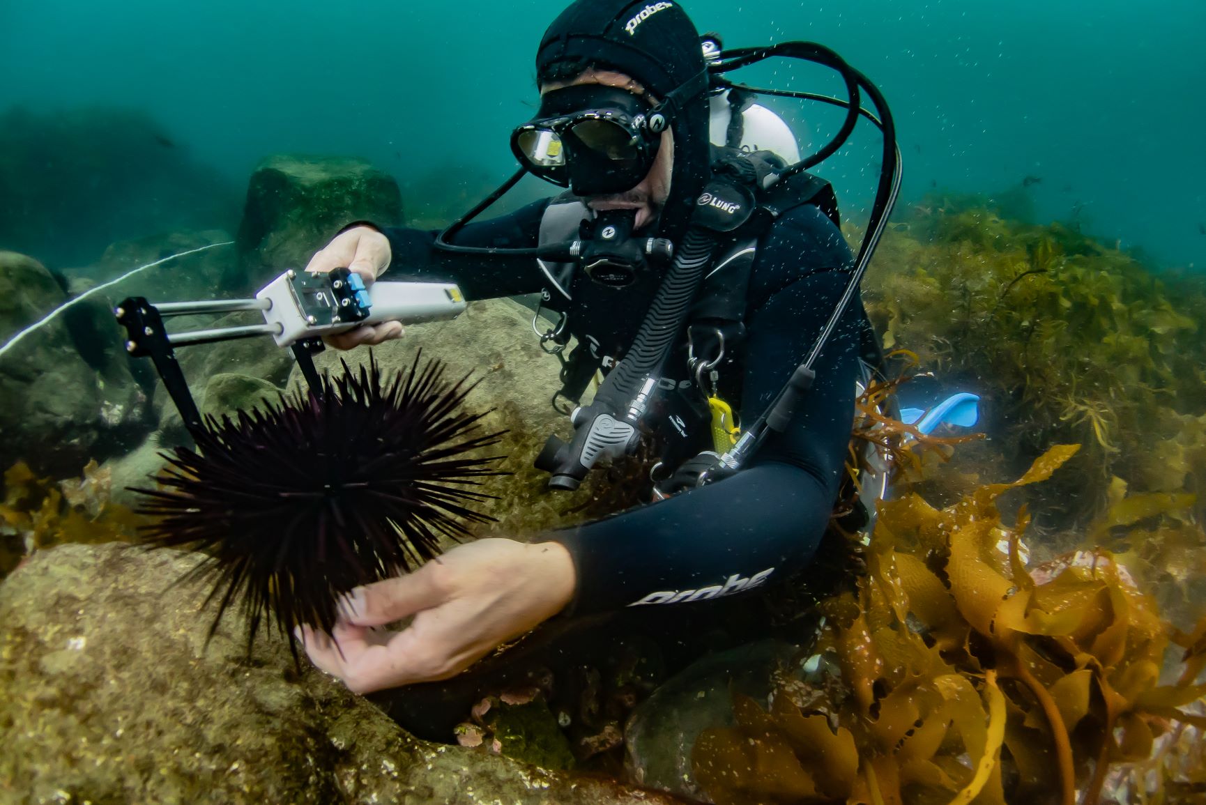 Thumbnail for Uni research fellows to tackle climate change, reef ecosystem health and more efficient chemistry