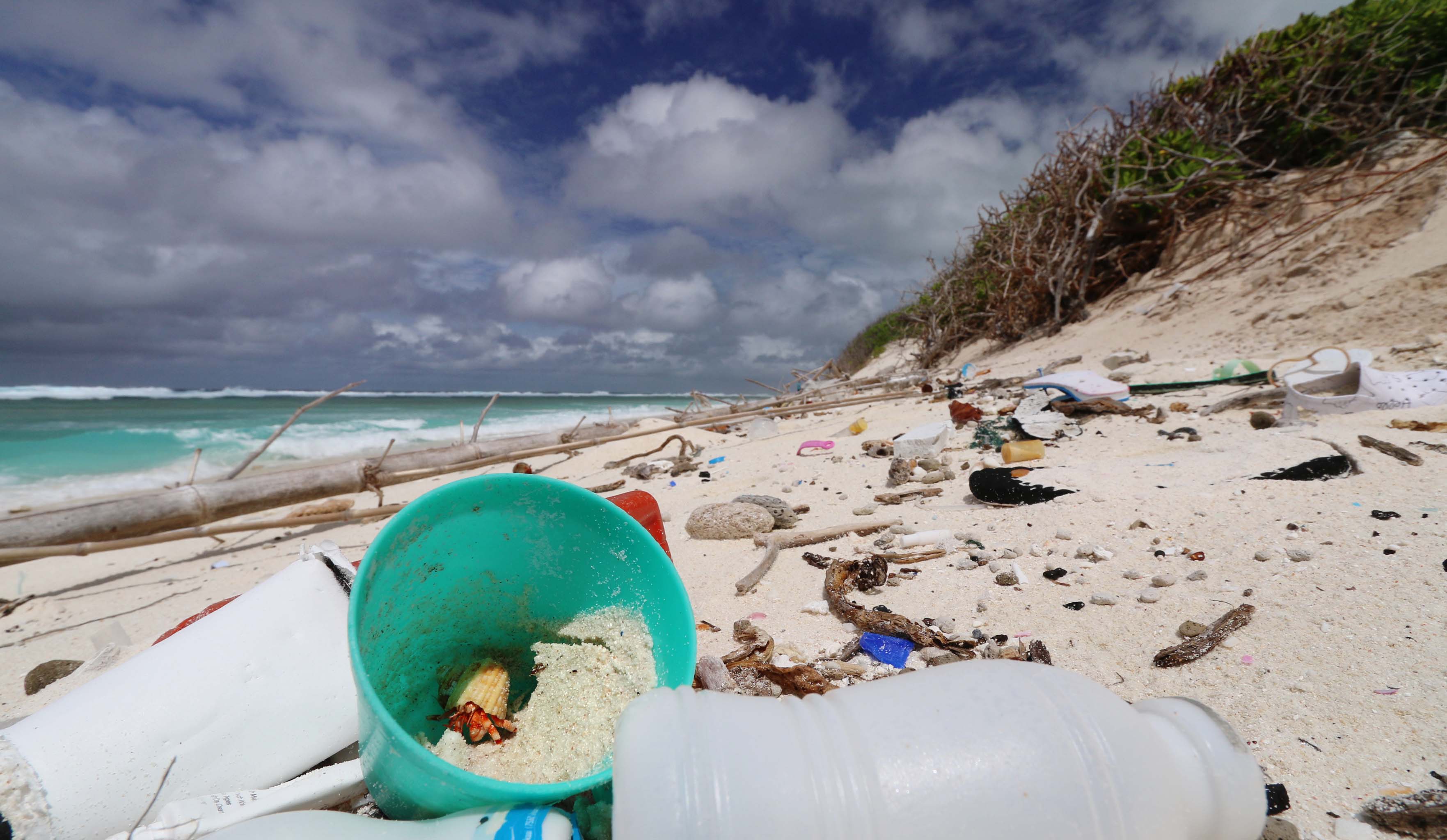 Thumbnail for Study reveals plastic debris increases daily temperature extremes in beach sediments