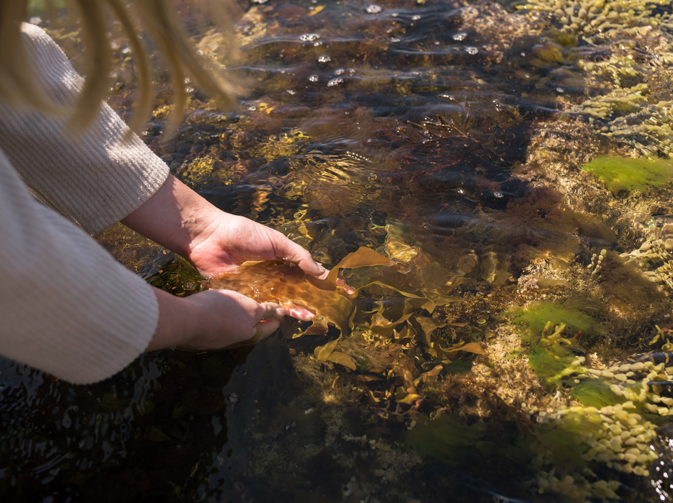 Kianna Gallagher with kelp photo by Bliss Sandhu