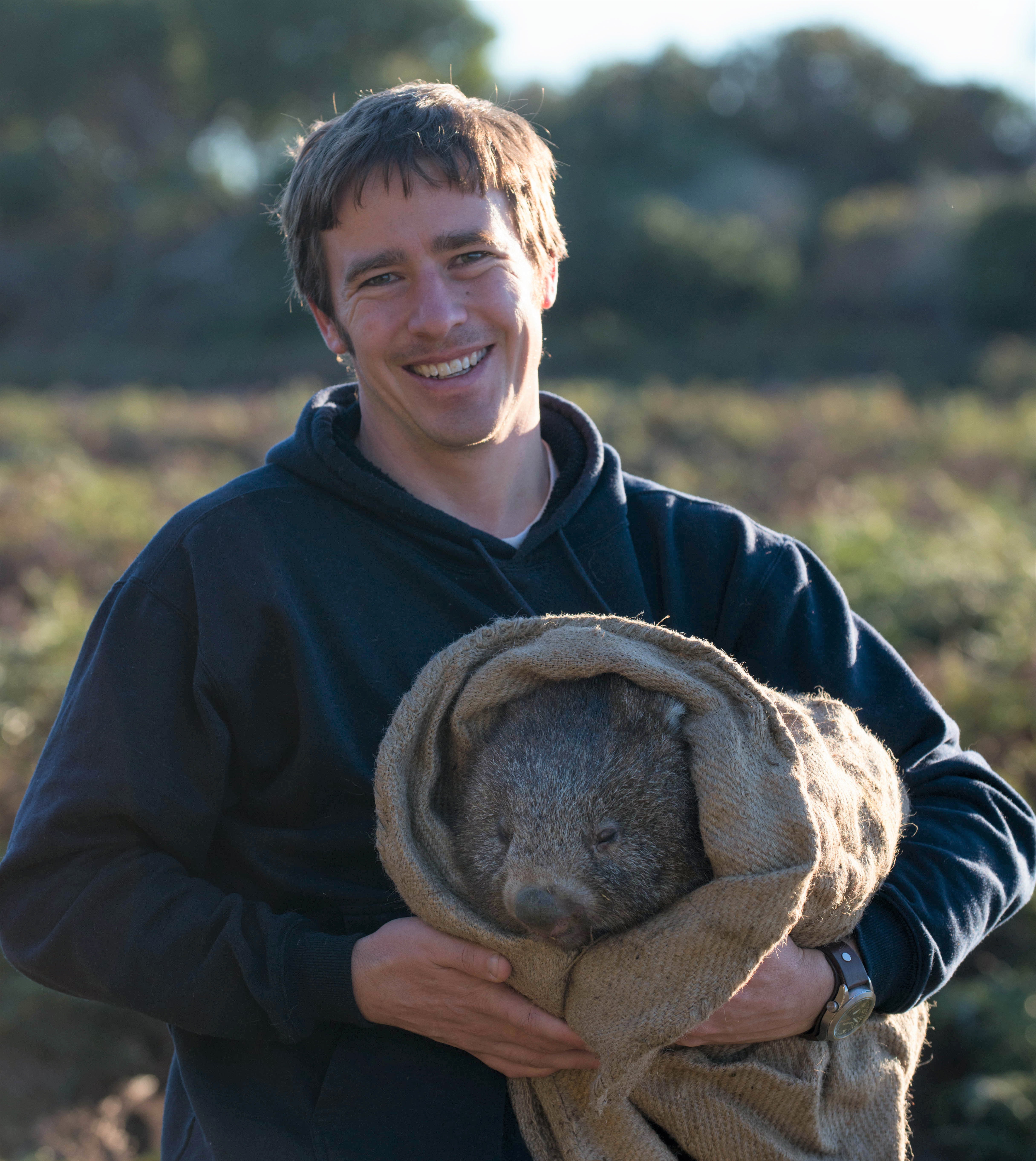 Thumbnail for New treatment program offers hope for controlling wombat mange