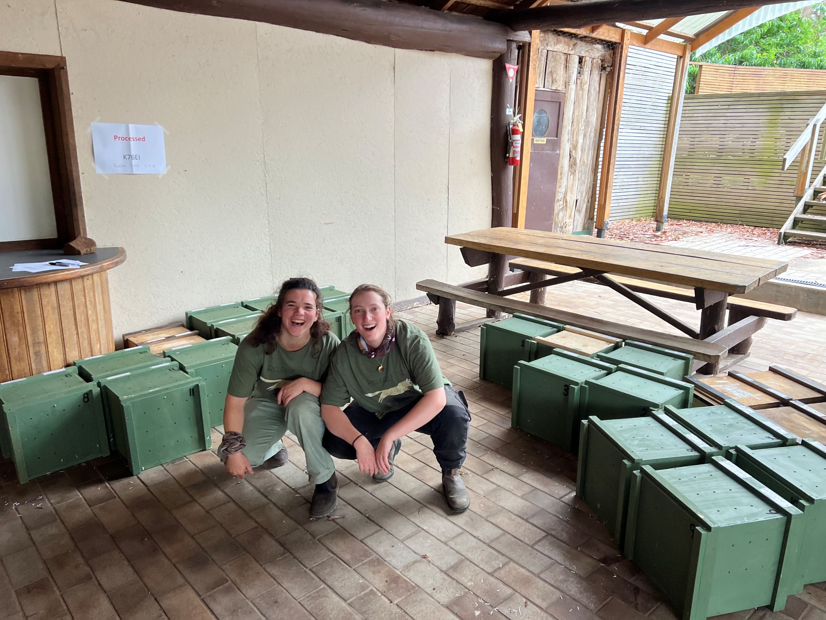 Eastern Quolls ready to travel in boxes